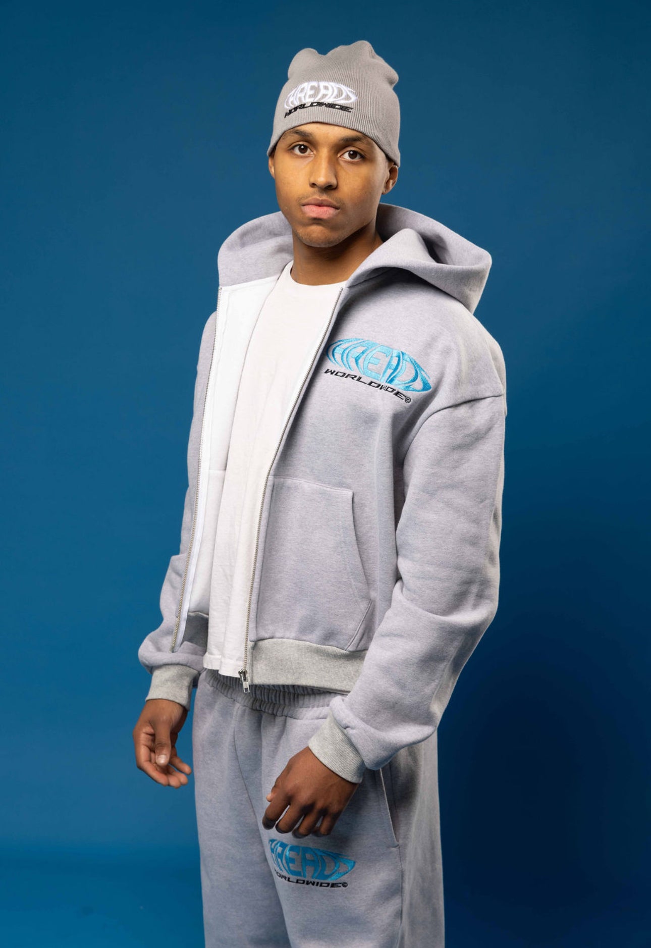 Worldwide "V2" Grey Hoodie